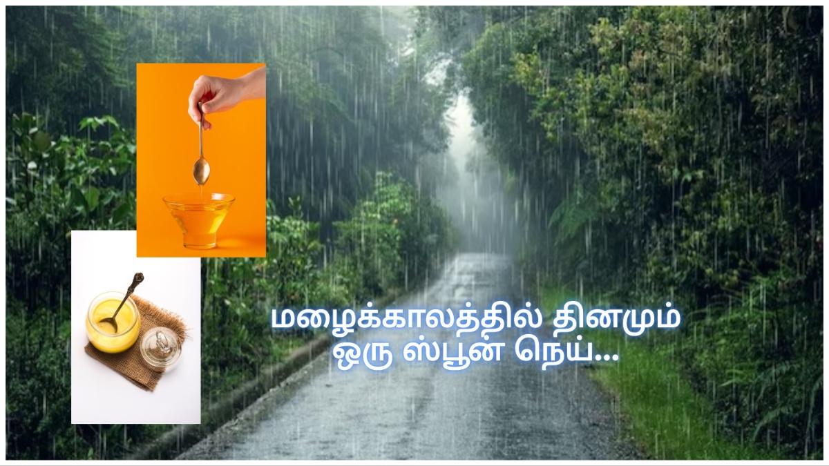 Ghee: மழைக்காலத்தில் தினமும் நெய் சாப்பிட்டால்… இத்தனை நன்மைகள் கிடைக்குமா?