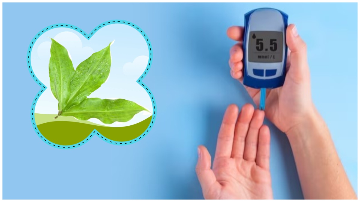 Insulin Leaf For Diabetes: இந்த இலையை தினமும் சாப்பிட்டால்… சர்க்கரை நோயாளிகளுக்கு மாத்திரையே தேவையில்ல!