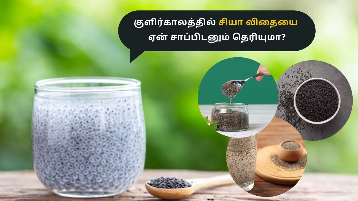 Chia Seeds: இதனால் தான் குளிர்காலத்தில் சியா விதையை சாப்பிட வேண்டும்.!