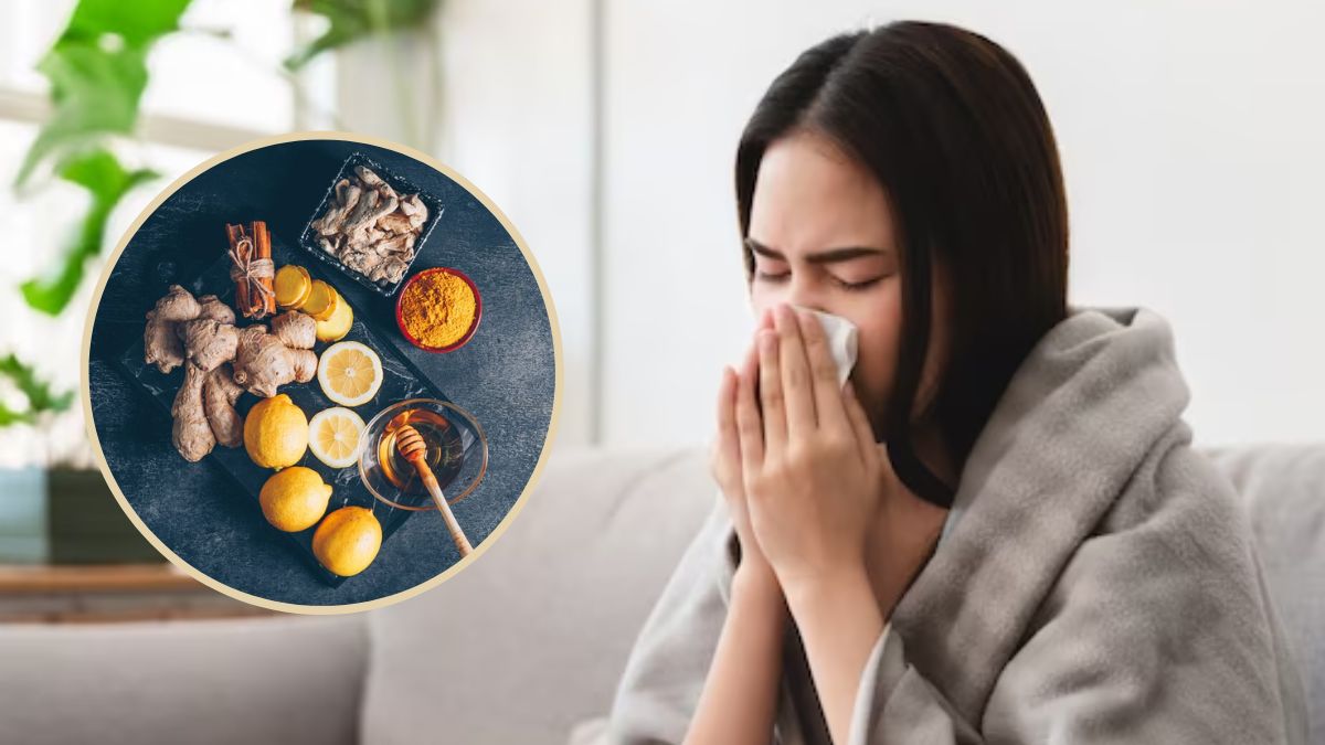 Monsoon Foods: மழைக்காலத்தில் உடல் ஆரோக்கியத்துக்கு இந்த உணவெல்லாம் எடுத்துக்கோங்க.