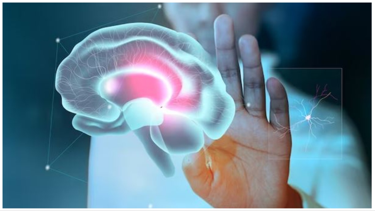 Brain Power Increasing Habits: ப்ரெய்ன் ஷார்ப்பா இருக்கணும்னா தினமும் நீங்க செய்ய வேண்டியது இது தான்!
