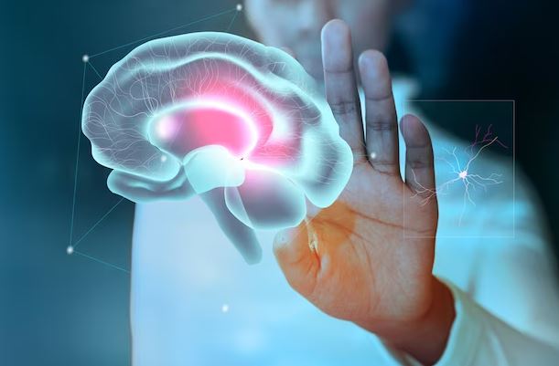 have-these-foods-to-protect-your-brain-from-stroke