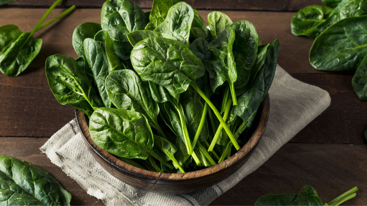 Spinach Benefits: அடேங்கப்பா! கீரை சாப்பிடுவது ஆண்களுக்கு இவ்வளவு நல்லதா?