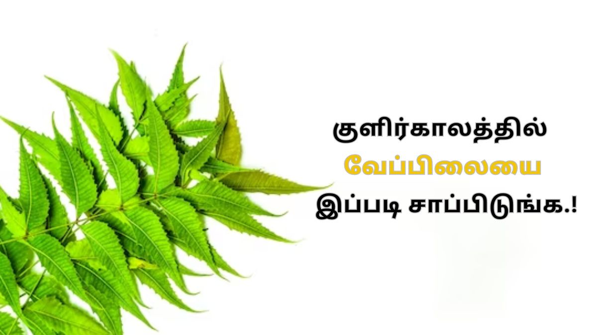 Neem Leaves: குளிர்காலத்தில் வேப்பிலையை இப்படி சாப்பிடுங்க.!