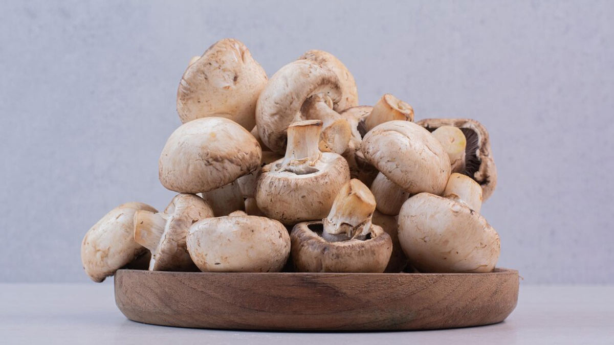 Mushroom Benefits: காளான் வகைகளும், ஆரோக்கிய நன்மைகளும்!
