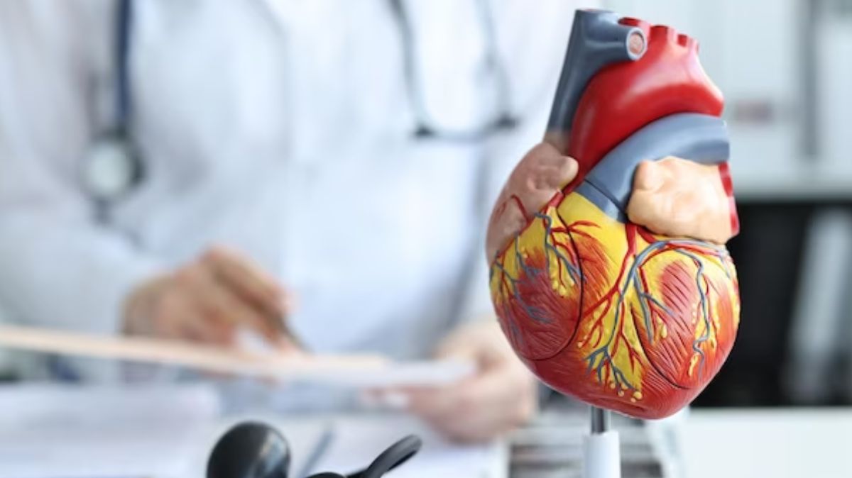 Healthy Heart: குளிர்காலத்தில் இதயத்தை பாதுகாப்பது எப்படி? மருத்துவர் அட்வைஸ்..