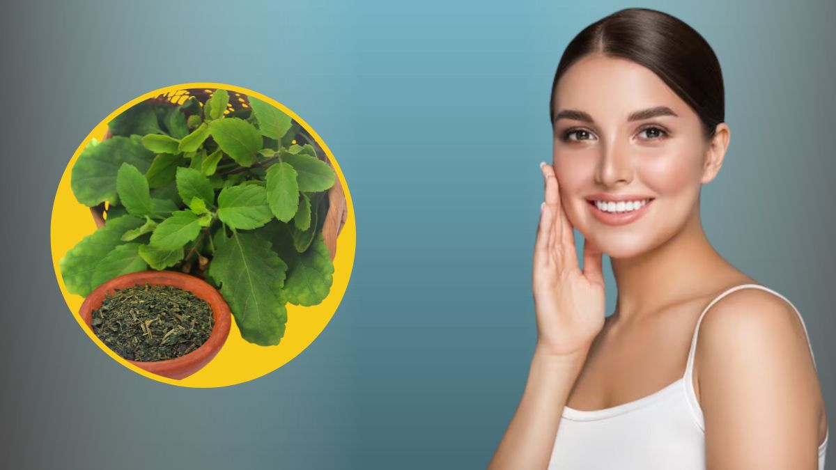 Tulsi Powder for Skin: சருமத்தைப் பொலிவாக்க உதவும் மந்திரப் பொடி. இப்படி பயன்படுத்திப் பாருங்க.