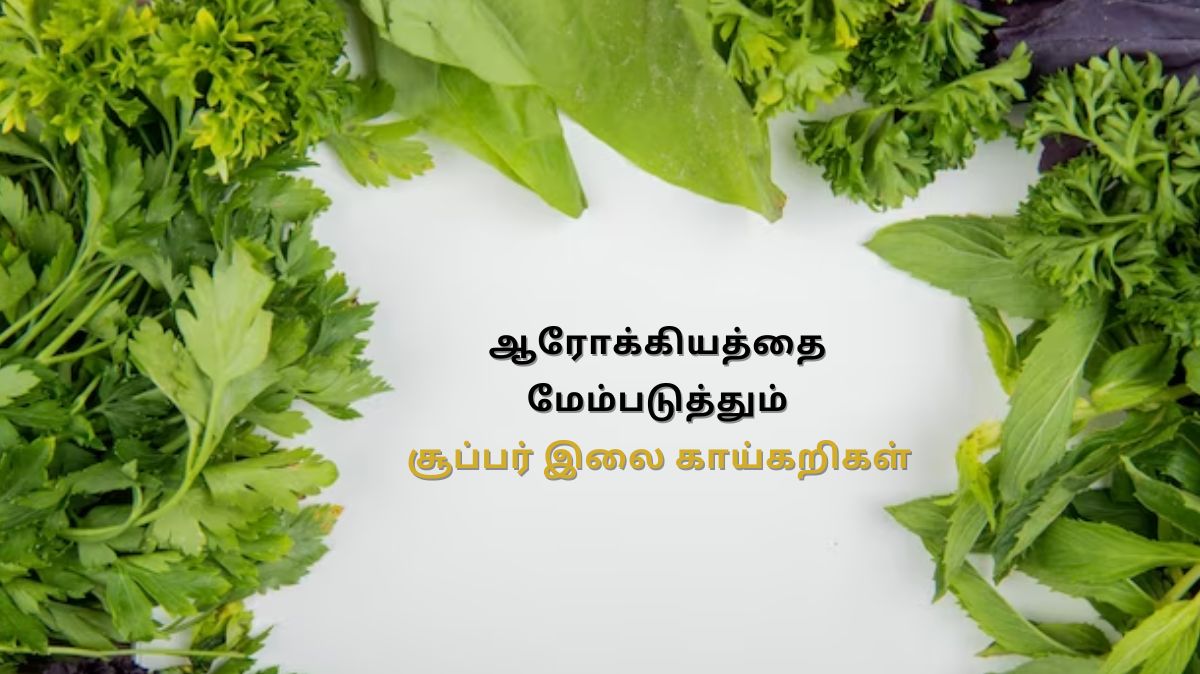 கொத்தமல்லி முதல் மேத்தி வரை.. உணவில் சேர்க்க வேண்டிய பச்சை இலைகள் இங்கே..