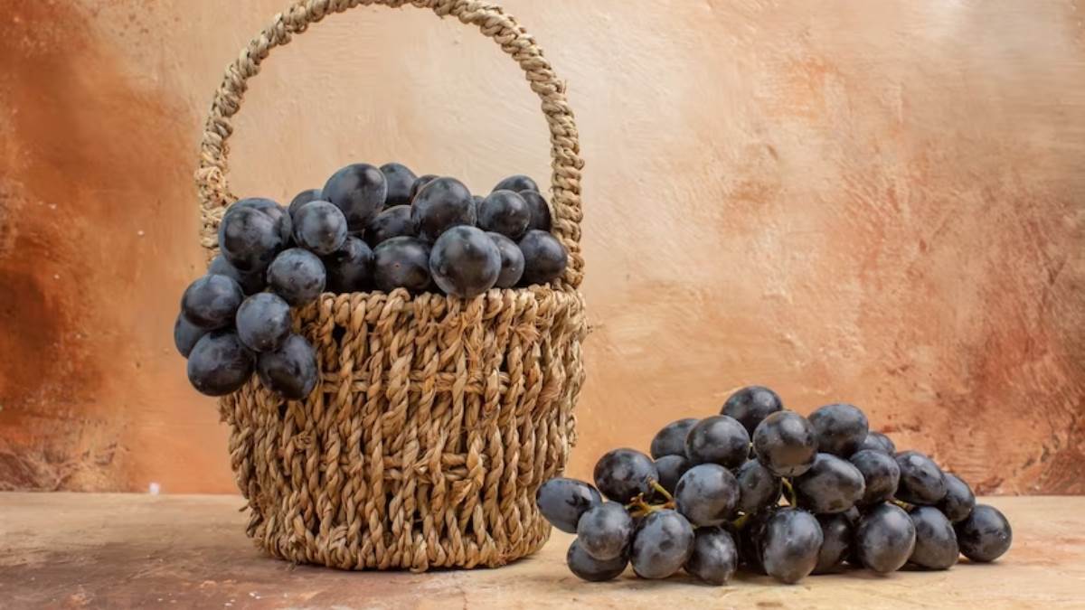 Grapes for Weight Loss: ஒரே வாரத்தில் 5 கிலோ வரை எடை குறையணுமா? அப்போ கருப்பு திராட்சையை இப்படி சாப்பிடுங்க!