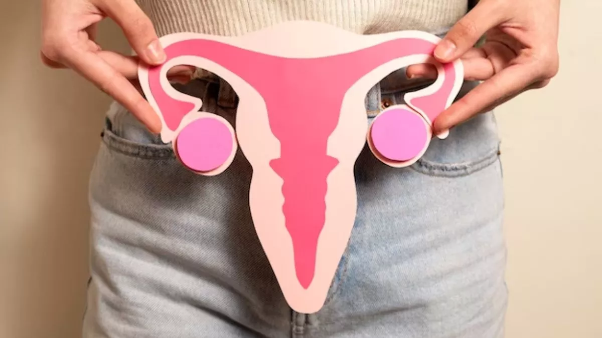 Vaginal Health: காரமான உணவு உண்பதால் பிறப்புறுப்பு ஆரோக்கியம் பாதிக்கப்படுமா? டாக்டர் கூறுவது இங்கே!