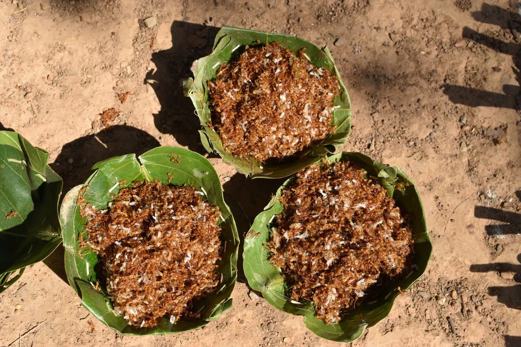 Red Ant Chutney