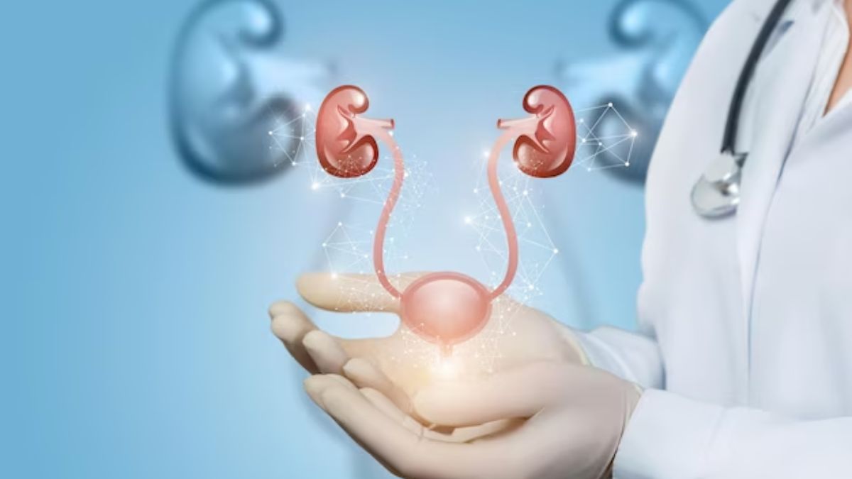 Kidney Cancer Treatment: சிறுநீரகப் புற்றுநோய்க்கான சிகிச்சை முறைகள் என்ன தெரியுமா? மருத்துவர் தரும் விளக்கம்.