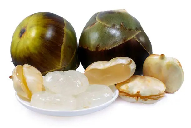ice apple