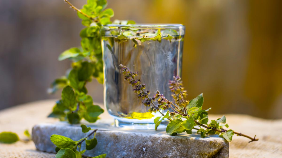 Tulsi Benefits: துளசி இலைகள் எந்த நோய்களை தீர்க்க உதவும்?