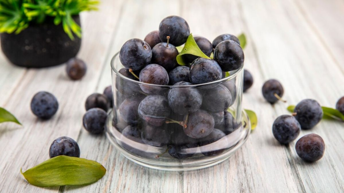 Jamun For Kidney Patients: சிறுநீரக நோயாளிகளுக்கு உதவும் அற்புத பழம். எந்த அளவு சாப்பிடலாம்?