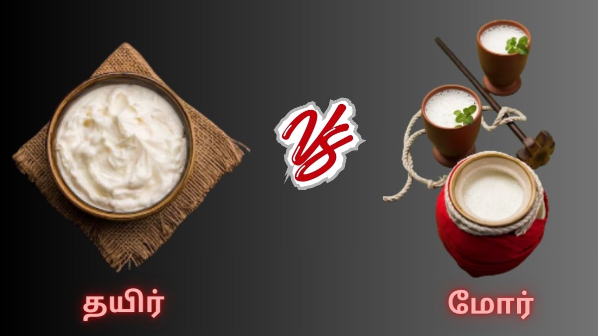 தயிர் Vs மோர் - ஆரோக்கியத்திற்கு எது சிறந்தது?