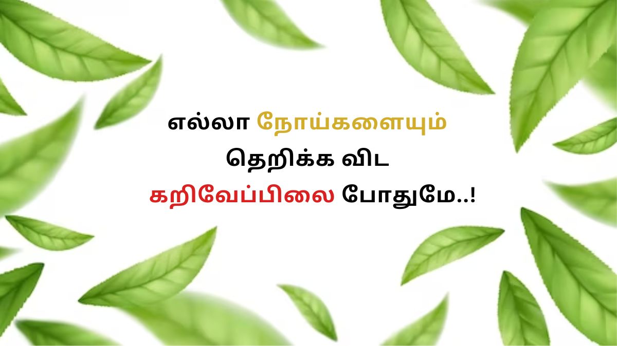 Curry Leaf Benefits: எல்லா நோய்களையும் தெறிக்க விட கறிவேப்பிலை போதுமே..!