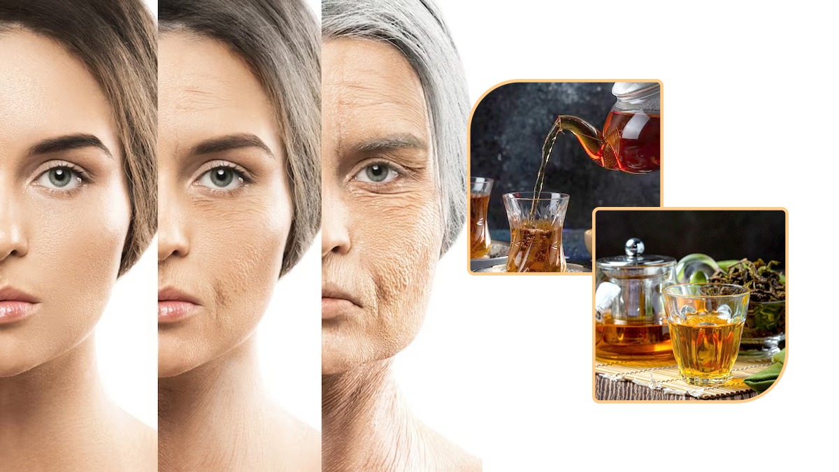 Tea Benefits: தினமும் 3 கப் டீ குடித்தால் ஆயுட்காலம் அதிகரிக்குமா? - நிபுணர்கள் சொல்வது என்ன?