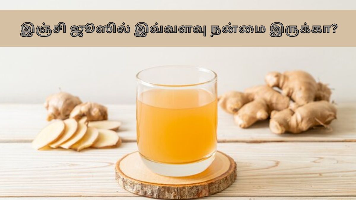 Benefits of Ginger: வெறும் வயிற்றில் இஞ்சி ஜூஸ் குடித்தால் என்ன ஆகும் தெரியுமா?