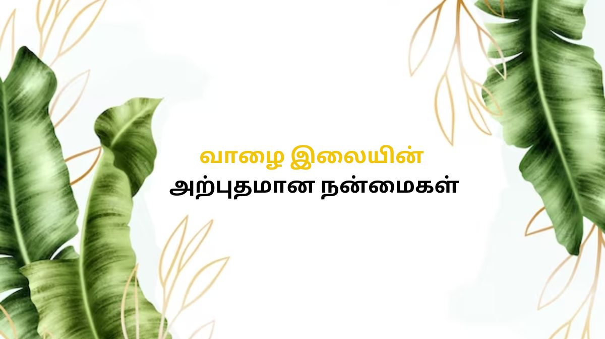 Banana Leaf Benefits: ஆரோக்கியமான ருசியை சுவைக்க வாழை இலையில் சாப்பிடுங்க!
