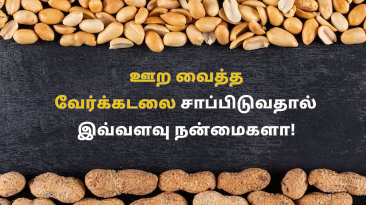 Soaked Peanuts: ஊற வைத்த வேர்க்கடலை சாப்பிடுவதால் உடலுக்கு இவ்வளவு நன்மைகளா!