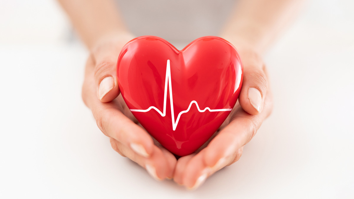 World Heart Day: இதயம் ஸ்ட்ராங்கா இருக்கணுமா? அப்ப இந்த உணவுகளை காலை உணவா சாப்பிடுங்க!