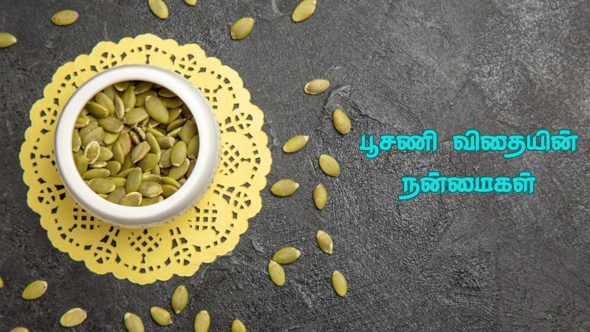 Pumpkin Seeds Benefits: நீரிழிவு நோய் முதல் இதய ஆரோக்கியம் வரை.. குளிர்காலத்தில் பூசணி விதை தரும் நன்மைகள்.!