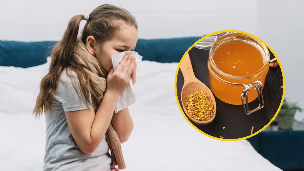 Pneumonia Ayurvedic Remedies: நிம்மோனியா பாதிப்பால் அவதியா? இந்த ஆயுர்வேதிக் டிப்ஸ ஃபாலோப் பண்ணுங்க.