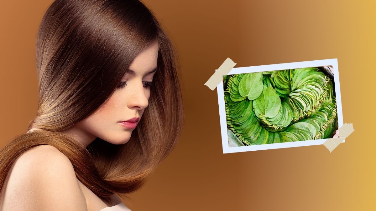 Vetrilai For Hair: வெறித்தனமா முடி வளரணுமா? வெற்றிலையை இப்படி பயன்படுத்துங்க போதும்