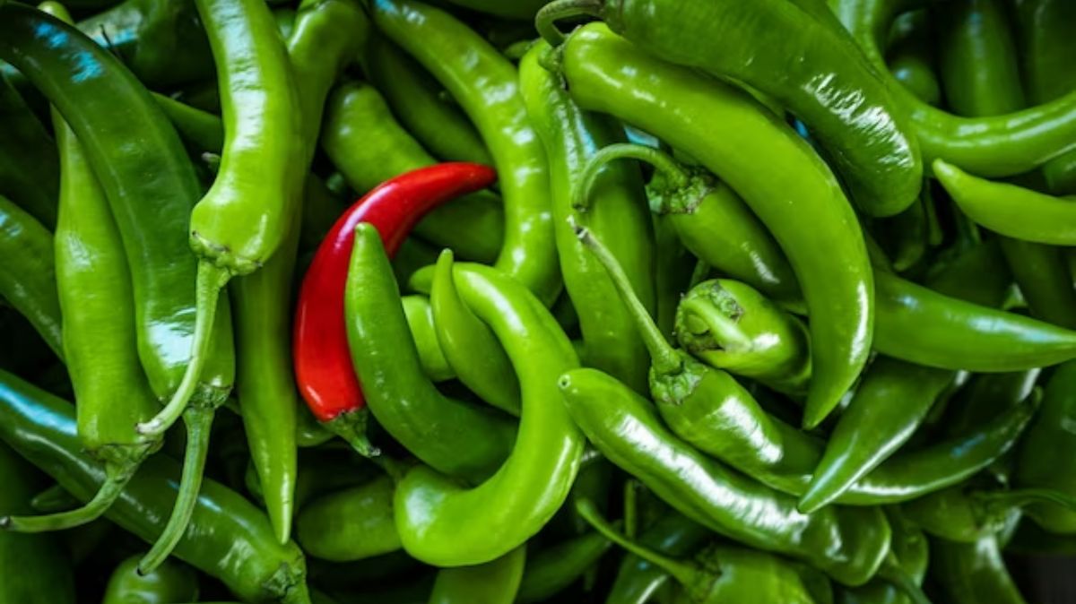 Green Chilli Benefits: முகப்பரு முதல் உடல் எடை வரை - பச்சை மிளகாயின் நன்மைகள் இங்கே..