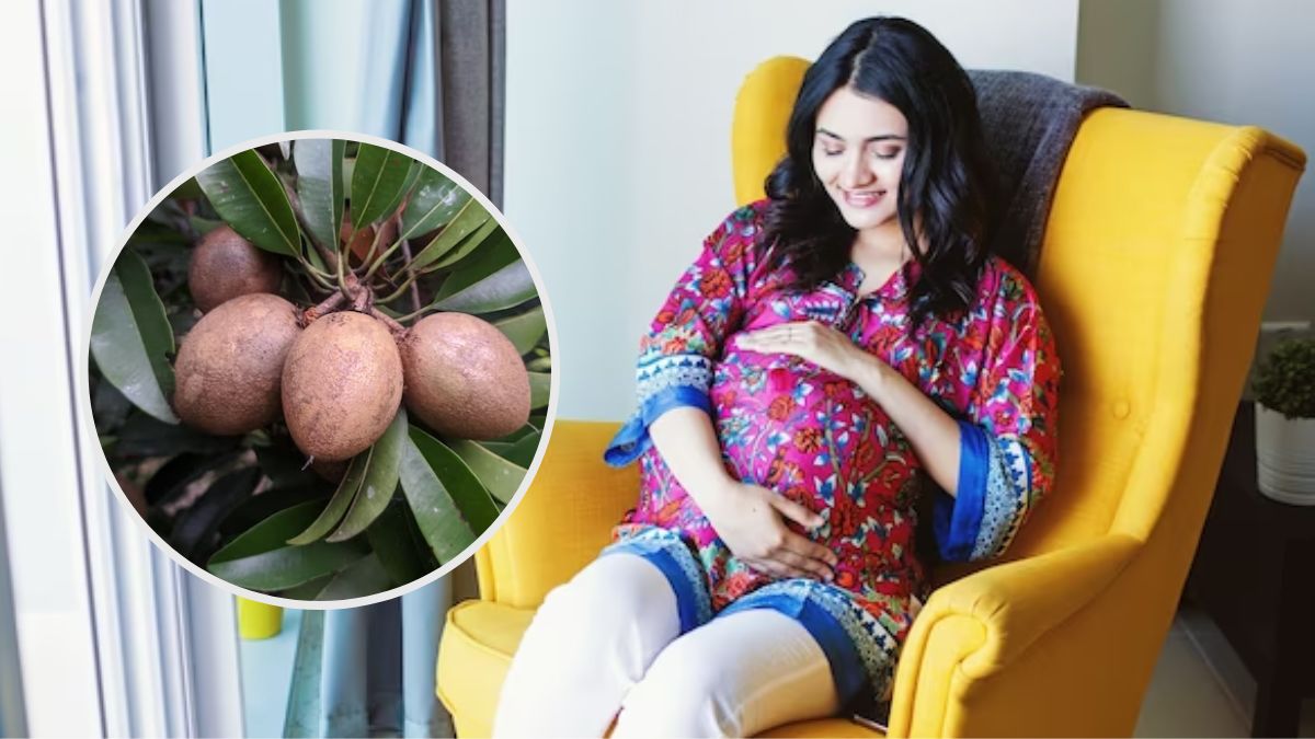 Sapota During Pregnancy: கர்ப்ப காலத்தில் சப்போட்டா சாப்பிட்டா என்ன நடக்கும் தெரியுமா?