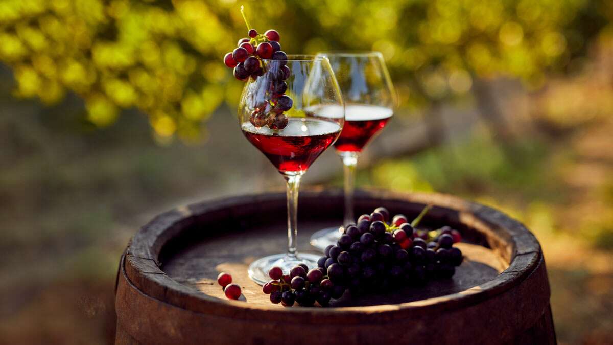 Red Wine Benefits: ரெட் ஒயின் குடிப்பது உண்மையில் இதயத்திற்கு நல்லதா? உண்மை என்ன?