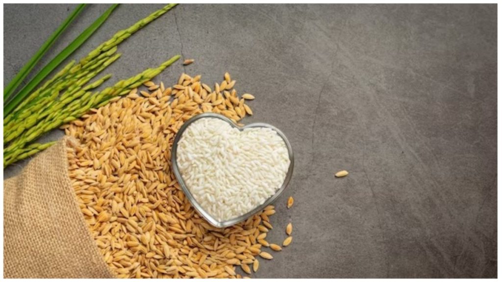 rice-and-wheat-low-food-value-icar-research-study