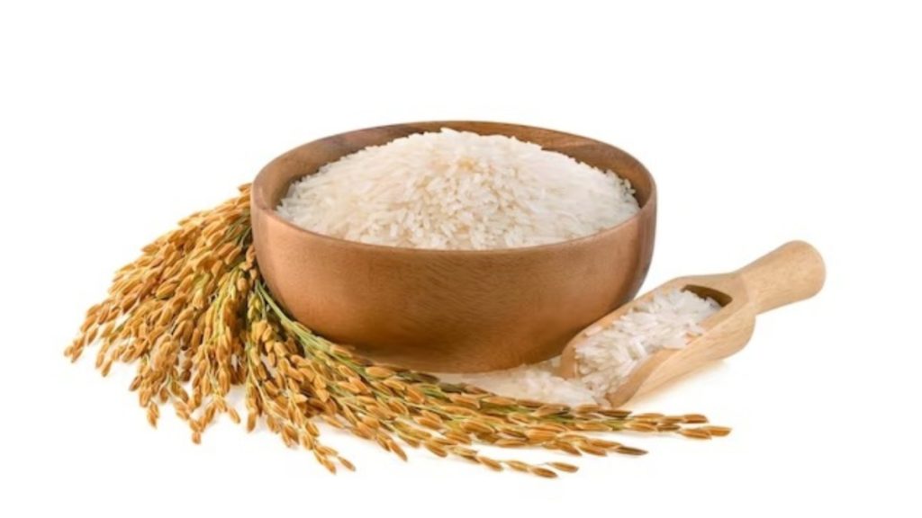 rice-and-wheat-low-food-value-icar-research-study