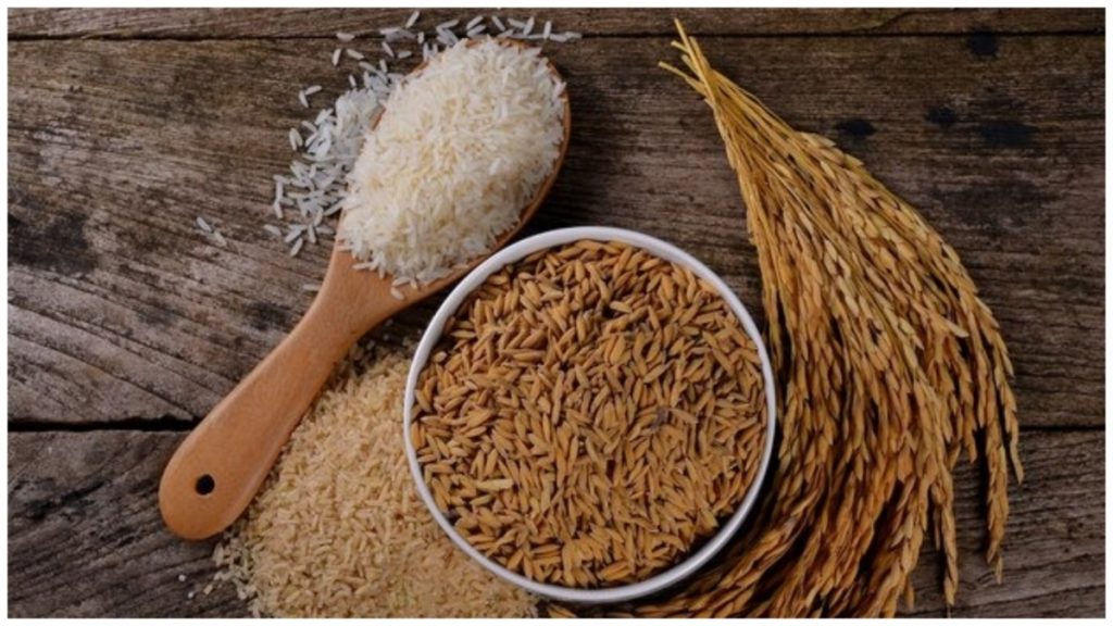 rice-and-wheat-low-food-value-icar-research-study