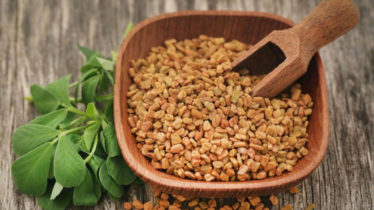 Fenugreek For Weight Loss: வெயிட் டக்குனு குறையணுமா? வெந்தயத்தை இப்படி எடுத்துக்கோங்க