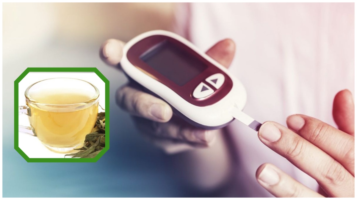 Chirata For Diabetes: நீரழிவு நோய்க்கு அருமருந்து… சர்க்கரையைக் கட்டுப்படுத்த இந்த ஒரு மூலிகை டீ போதும்!