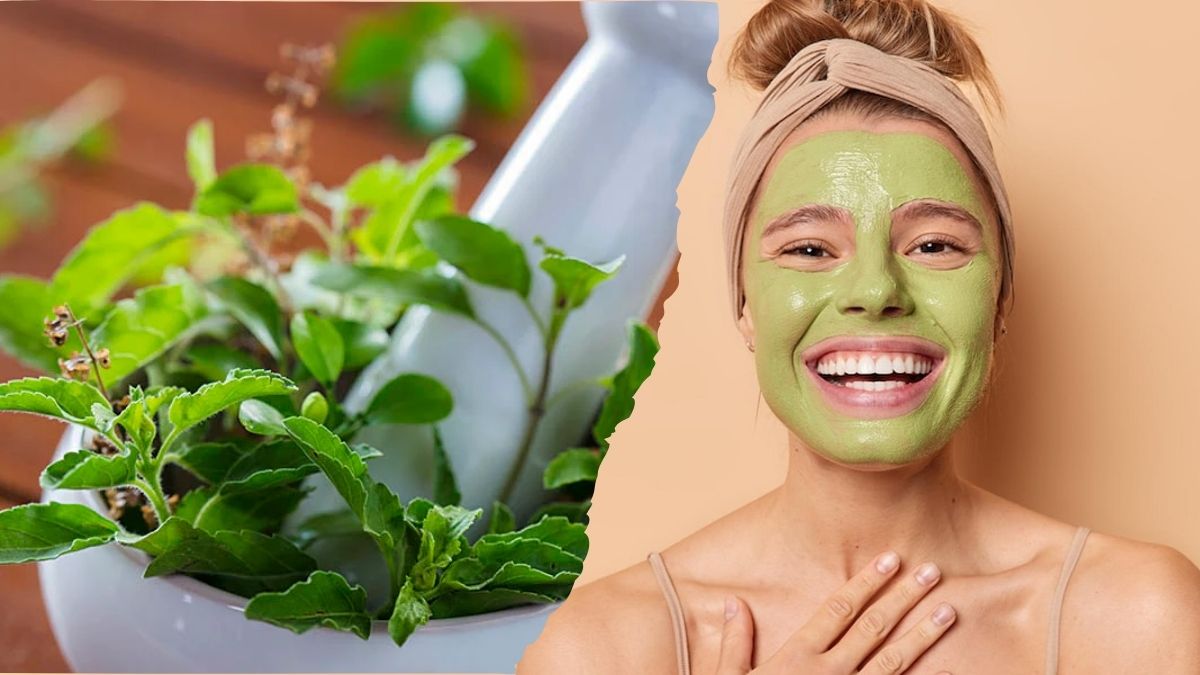 Tulsi for Skin: முகப்பரு உங்க அழகை கெடுக்கிறதா? துளசி இலையை இப்படி யூஸ் பண்ணுங்க!