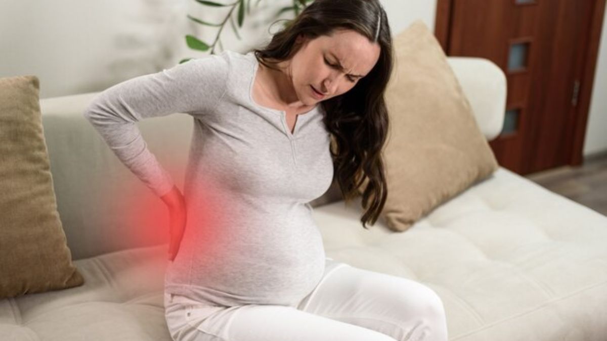 Back Pain Remedies: கர்ப்ப காலத்தில் தீராத முதுகு வலியா? இந்த மூலிகைகளை யூஸ் பண்ணுங்க