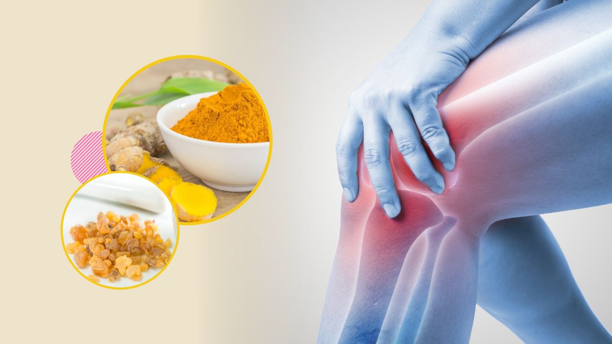 Herbs For Joint Pain: மூட்டு வலியால் அவதியா? சீக்கிரம் சரியாக இந்த மூலிகைகளை யூஸ் பண்ணுங்க