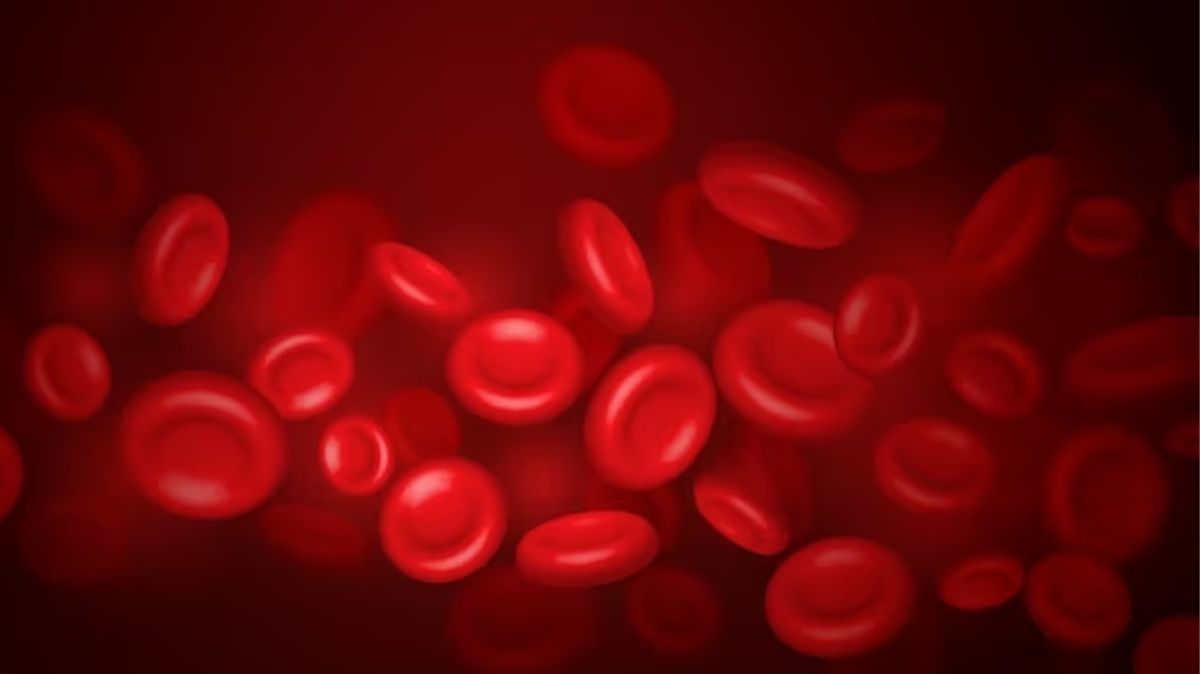 Blood Circulation: உடலில் இரத்த ஓட்டத்தை அதிகரிக்க என்ன செய்வது?