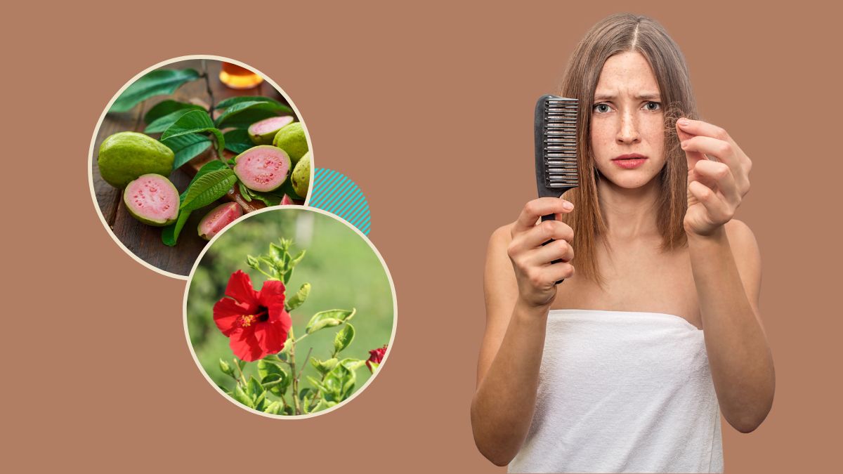 Leaves For Hair Fall: முடி உதிர்வு பிரச்சனையை ஈஸியா தடுக்க இந்த இலைகளைப் பயன்படுத்துங்க.