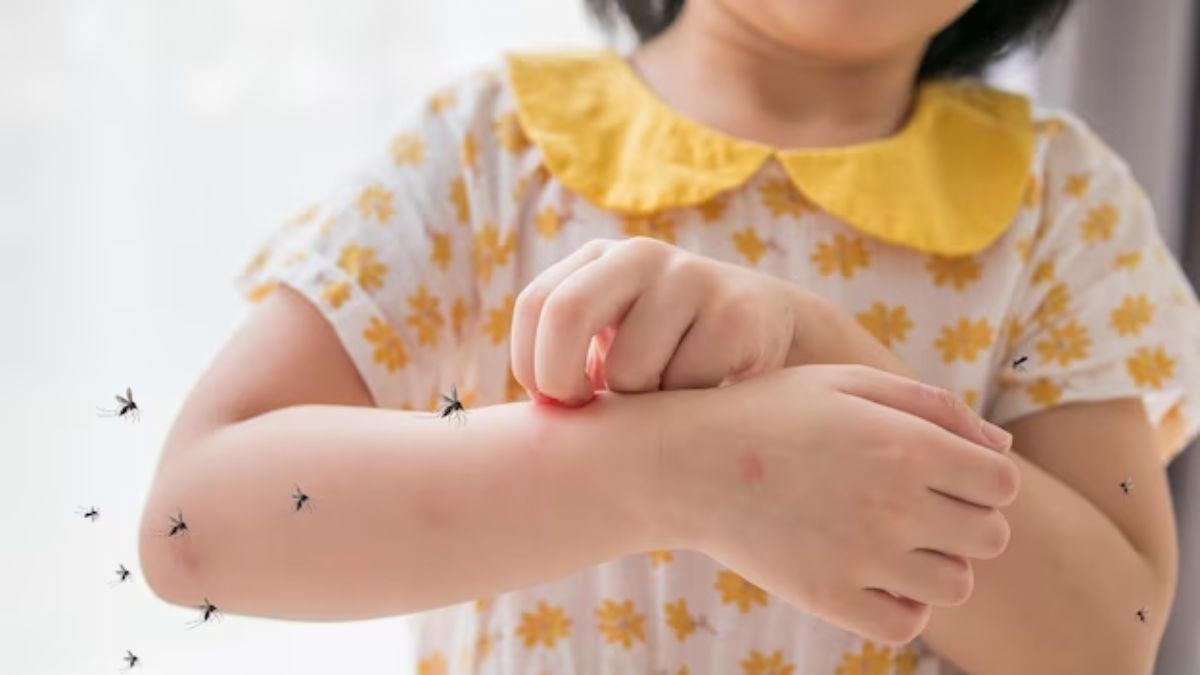 National Dengue Day 2024: உங்க குழந்தைக்கு டெங்கு பாதிப்பு வராமல் தடுக்க இதெல்லாம் ஃபாலோ பண்ணுங்க