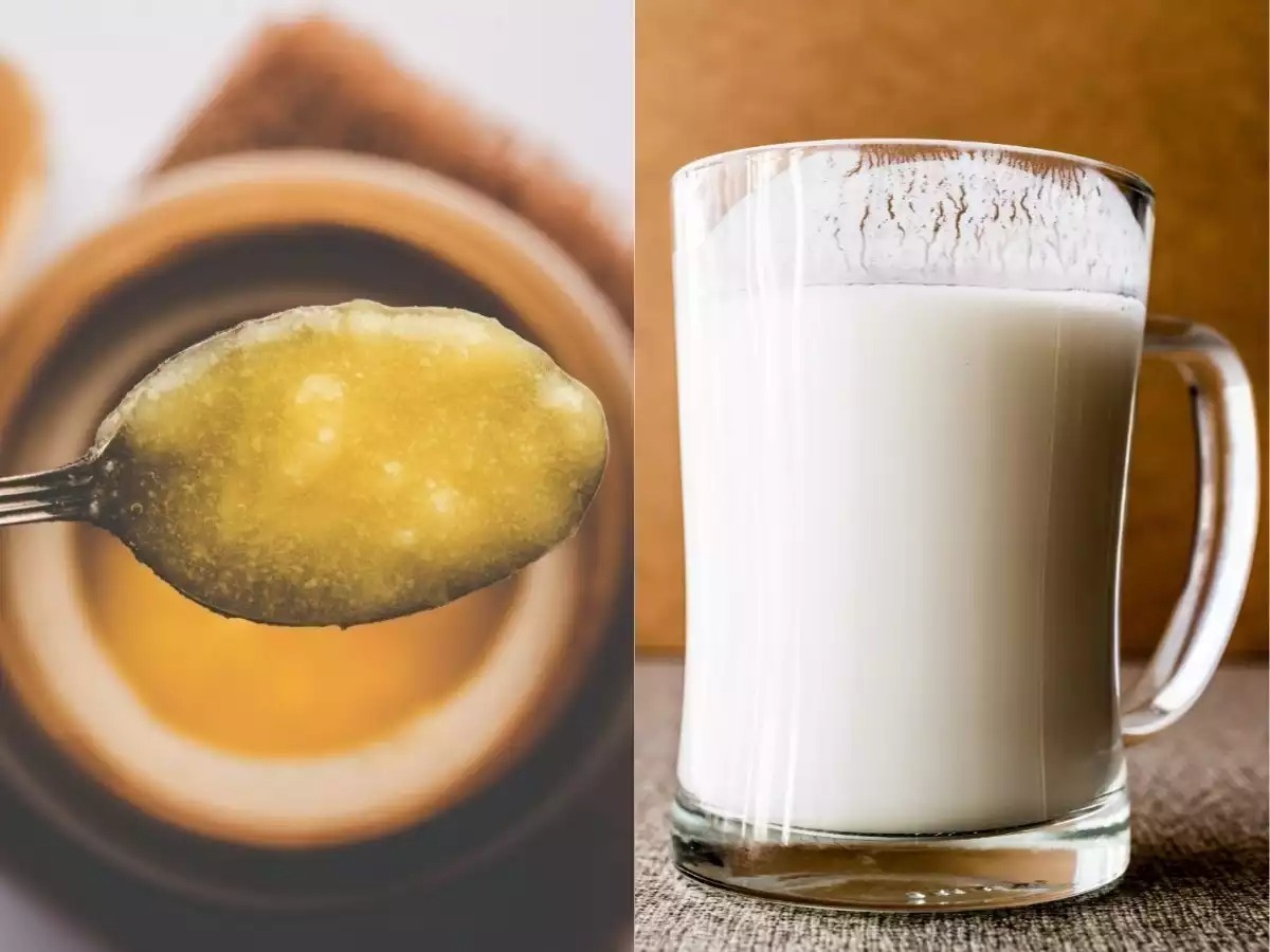 Ghee Milk at Night: இரவு தூங்கும் முன் பாலில் ஒரு ஸ்பூன் நெய் கலந்து குடித்தால் என்னென்ன நன்மைகள் கிடைக்கும்?