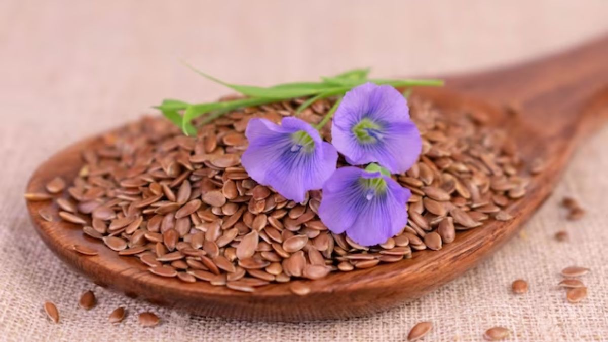ஆளி விதையில் கொட்டிக்கிடக்கும் நன்மைகள் பற்றி தெரியுமா?