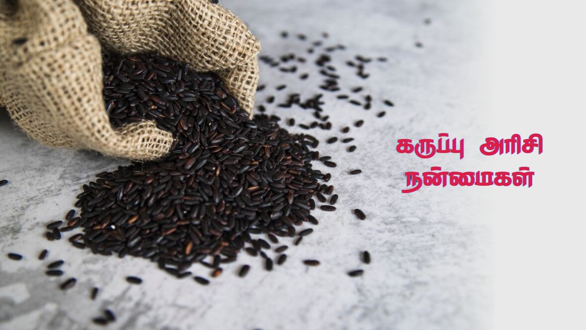 Black Rice Benefits: இது தெரிஞ்சா வெள்ளை அரிசிக்கு பதிலா கருப்பு