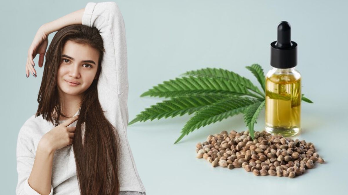 Hemp Seed Oil For Hair: முடி நீளமா, மென்மையா, அடர்த்தியா வளர சணல் விதை எண்ணெய் தரும் நன்மைகள்