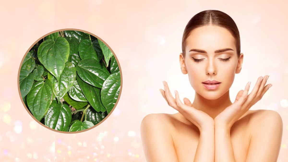 Betel Leaves For Skin: சருமத்தைப் பொலிவாக வைக்க வெற்றிலையை இப்படி பயன்படுத்துங்க
