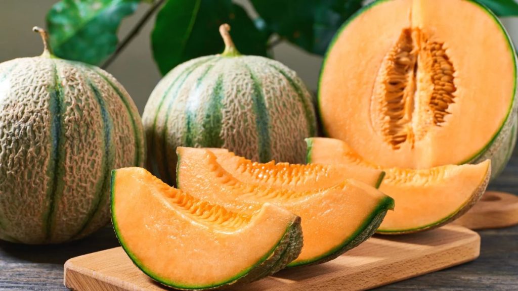 muskmelon-during-pregnancy