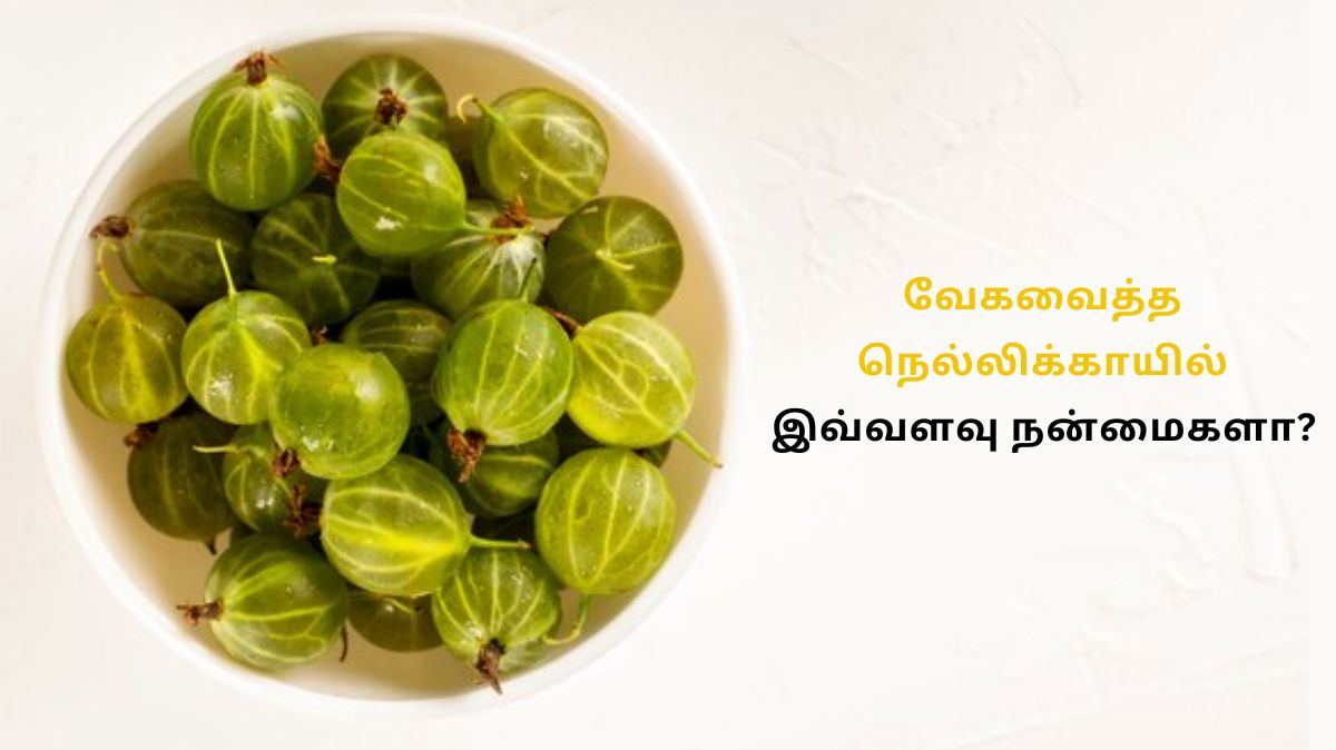 Steamed Amla: நெல்லிக்காயை வேகவைத்து சாப்பிடுவது நல்லதா?